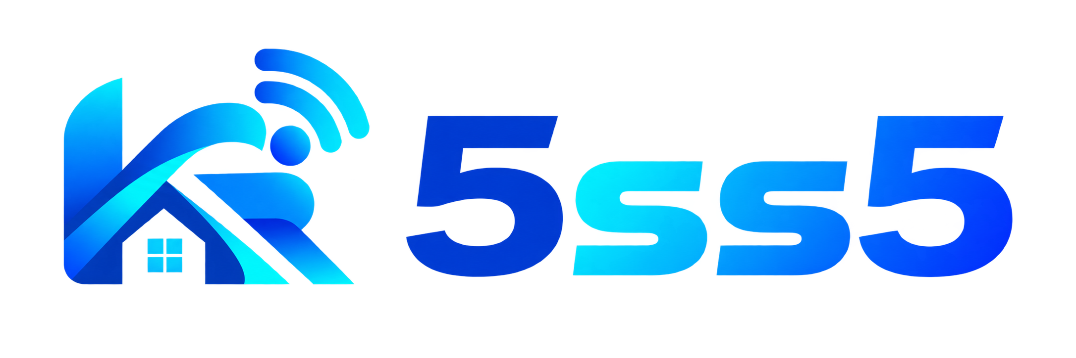 5ss5网络工具站
